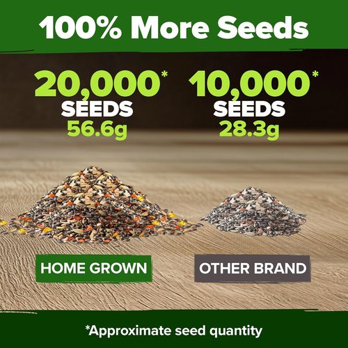 HOME GROWN Premium Monarch Butterfly Wildflower Seeds Mix - 20,000+ Non-GMO Milkweed Seeds for Pollinator Gardens | 2oz Perennial Flower Blend