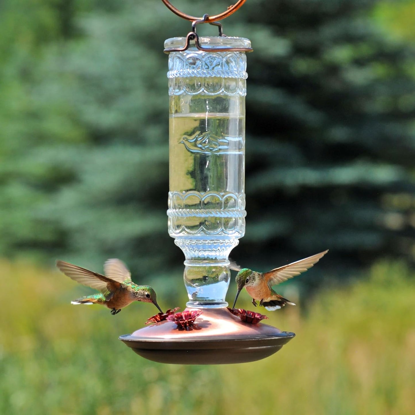 Perky-Pet Hummingbird Feeder - Antique Glass Bottle Design | 10 Fl Oz Nectar Capacity - Durable Outdoor Décor