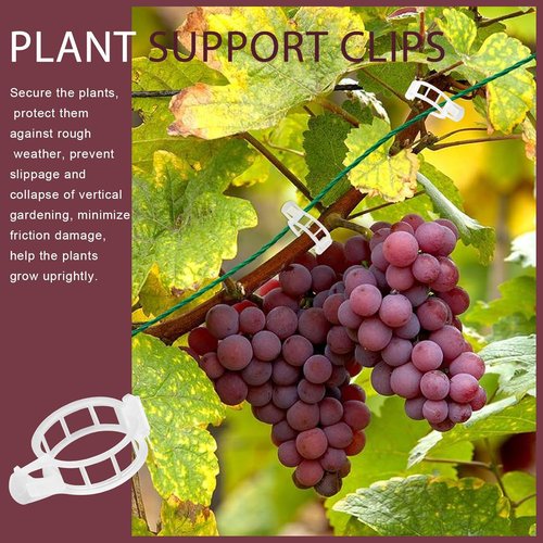 FANDAMEI Plant Support Clips - 300 PCS Plastic Garden Ties for Tomatoes, Cucumbers & Vines | 1” Inner Diameter