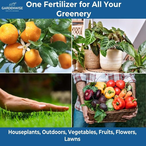 Gardenwise 20-20-20 Water-Soluble Fertilizer - Premium Powder for Indoor & Outdoor Plants, 8 oz