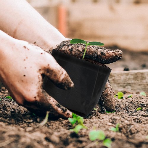 AC Infinity Nursery Bags - 1 Gallon Non-Woven Fabric Plant Pots | 50-Pack for Seed Starting & Transplanting