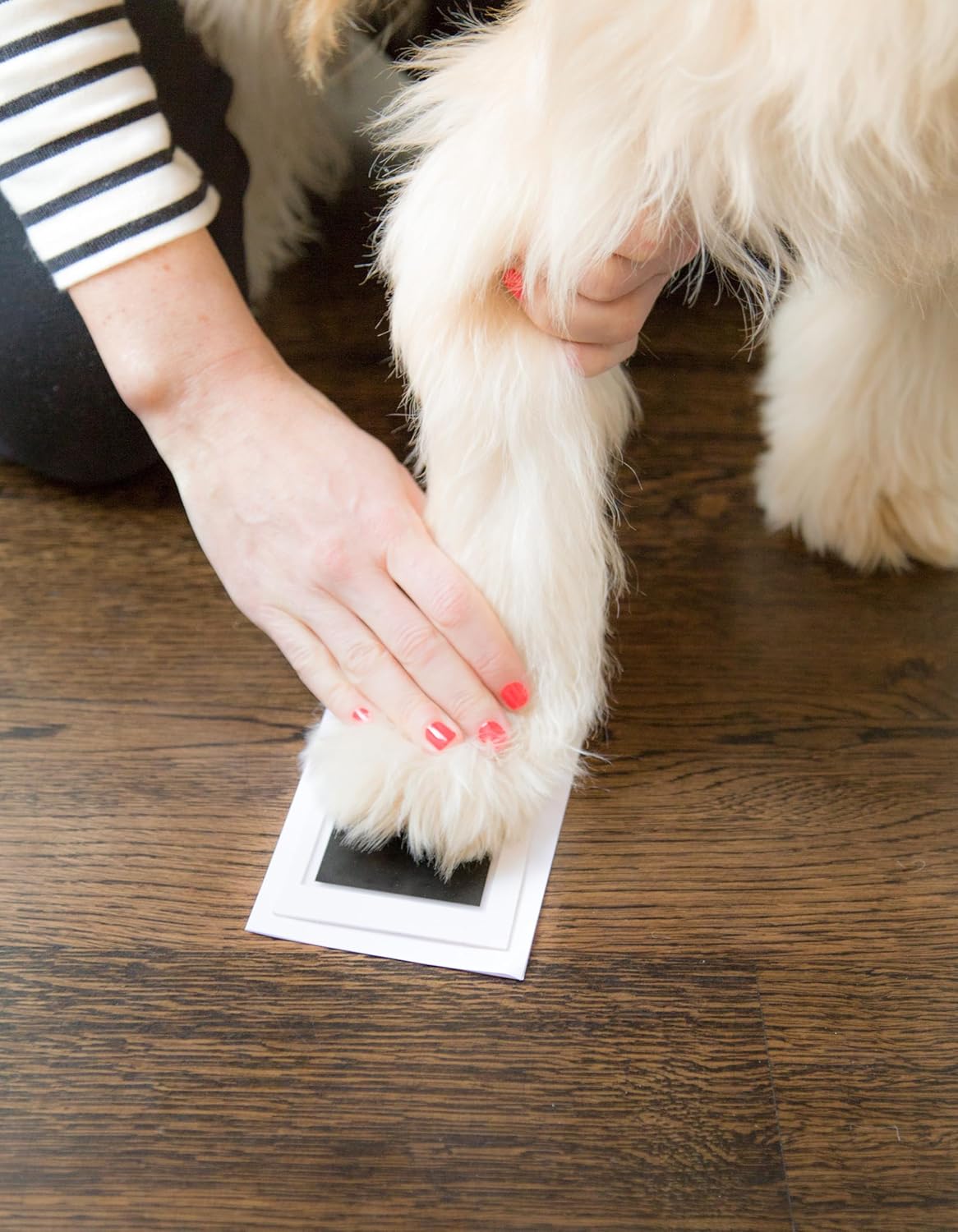 Double-Sided Christmas Pawprint Ornament for Dogs & Cats - DIY Keepsake with Clean-Touch Ink Pad