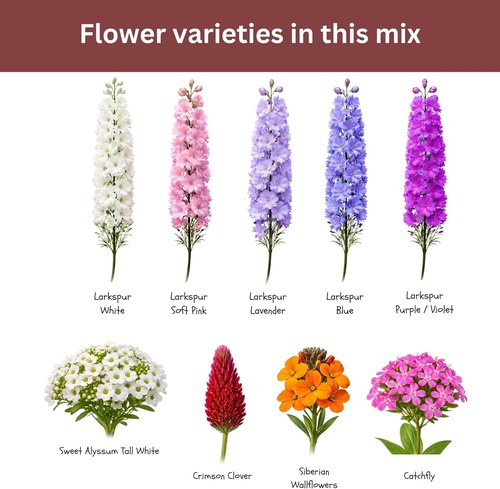 Butterfly and Hummingbird Wildflower Mix - Non-GMO Seeds | 30,000+ Seeds in 1 oz Resealable Packet