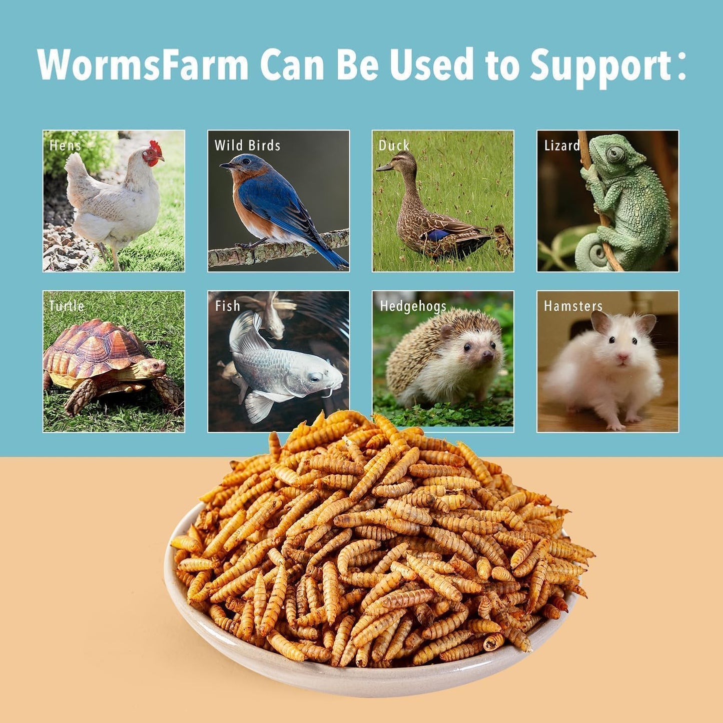 WormsFarm Dried Black Soldier Fly Larvae Treat - High Calcium for Chickens & Wild Birds | 5LB