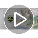 Wonlex Gold Pearl Napkin Rings Set of 12 for Weddings & Holidays