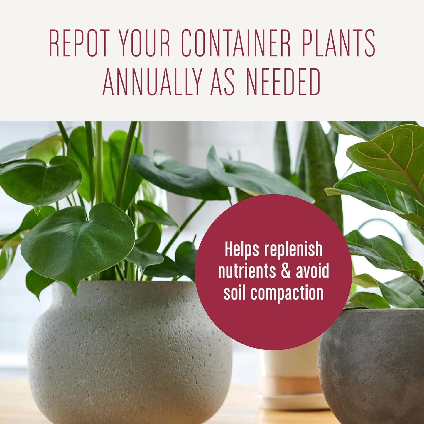 Miracle-Gro Houseplant Potting Mix - Fertilized Indoor Soil for Containers | Less Gnats, 4 Qt
