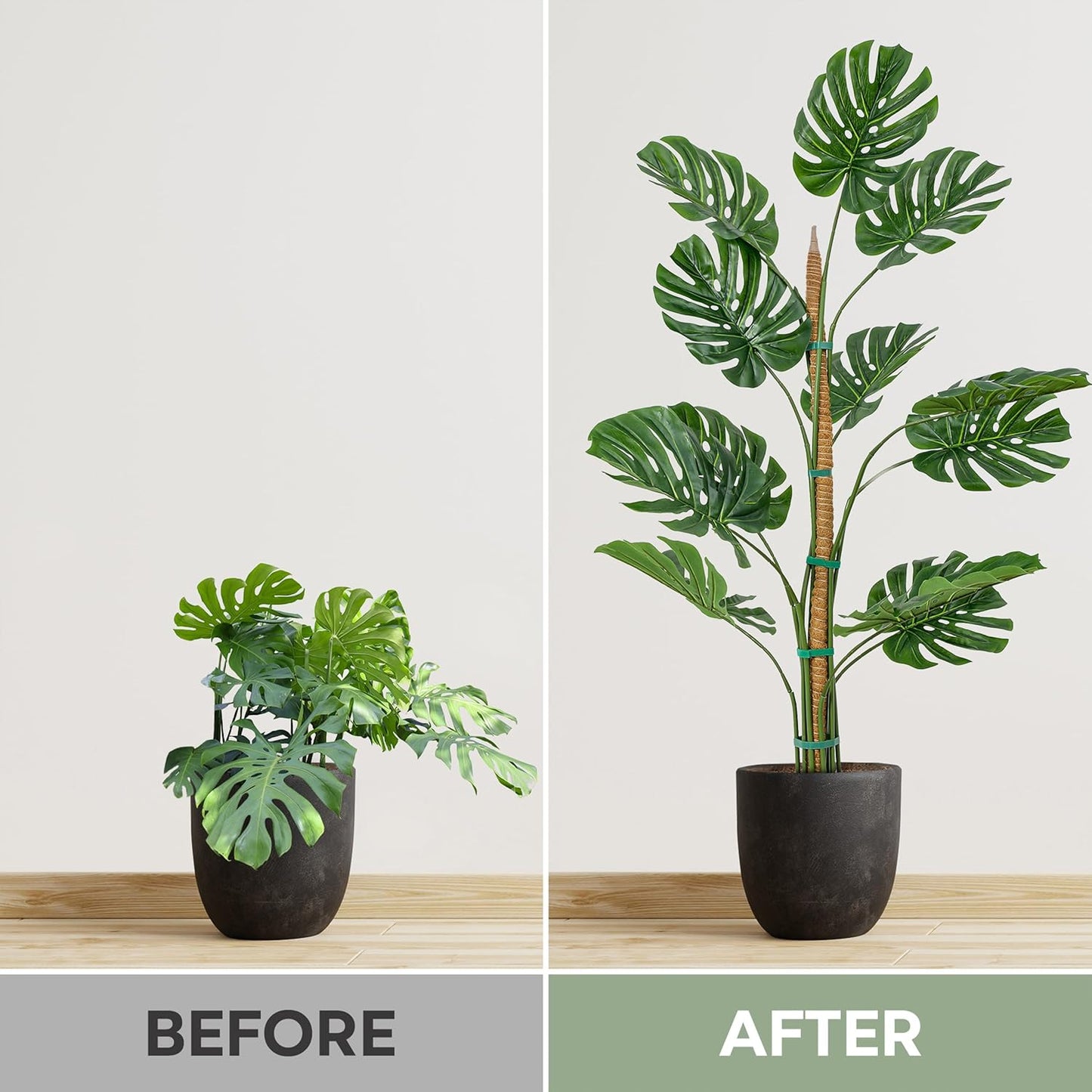 Monstera Moss Pole - 2 Pack 63'' Bendable Plant Support for Large Indoor Climbers | Durable Trellis Stakes