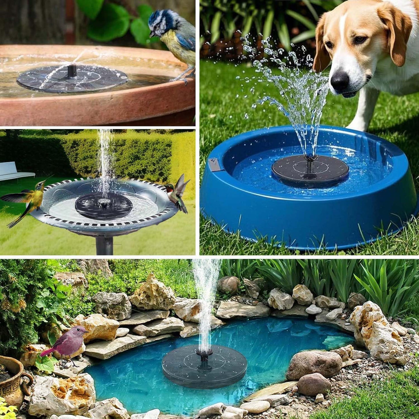 Skiennix Solar Fountain - Upgraded Solar Powered Water Pump with 6 Nozzles for Garden & Pond Decor