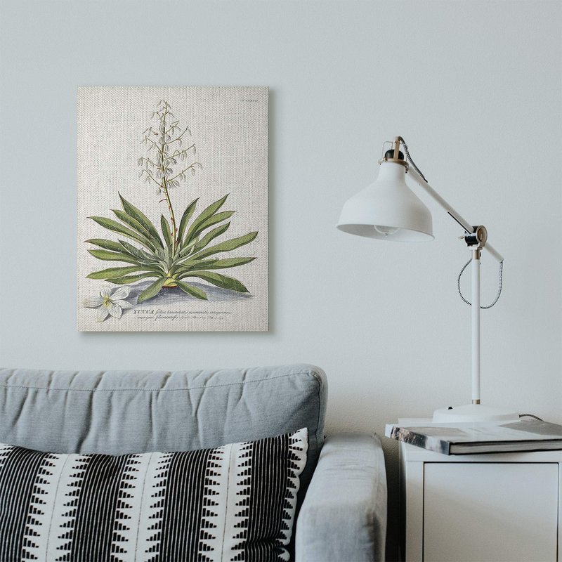Stupell Industries Botanical Plant Illustration Ferns Vintage Design, Design by Unknown, 30 x 24, Canvas Wall Art