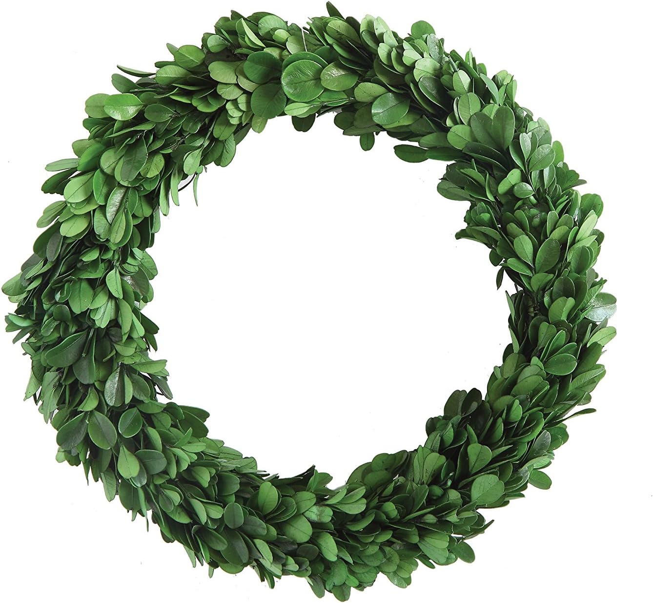 Preserved Boxwood Wreath - Authentic Decorative Greenery for Home Decor