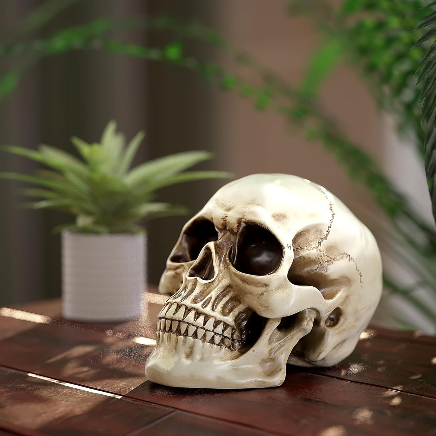 Resin Skull Decor - Human Head Model for Halloween Home Decoration & Bookshelf