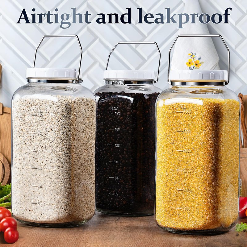 Folinstall 2 Gallon Large Glass Jar with Lid, Wide Mouth Storage Jars with Stainless Handle, Extra Big Glass Container with 2 Scale Mark for Storing Food, Kitchen Organization, 7400 ML/250 OZ