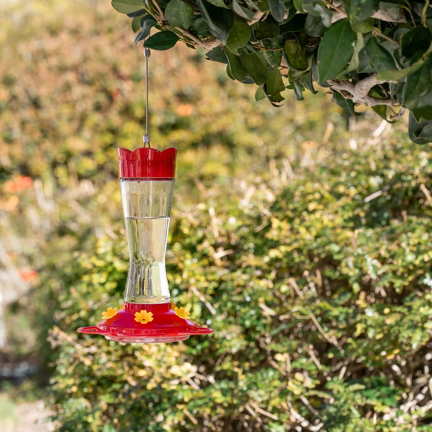 MEKKAPRO Glass Hummingbird Feeder - Ant & Bee Proof Design with 5 Feeding Stations | Bright Red, 10 Ounces