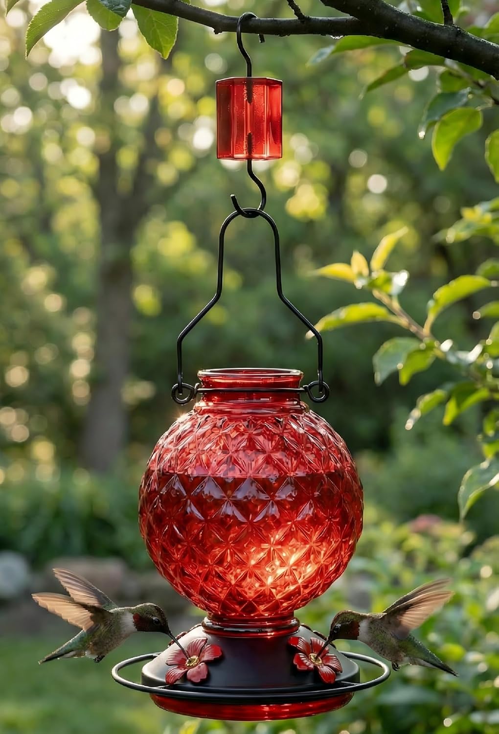 Skiennix 25 OZ Glass Hummingbird Feeder - Leak-Proof Design with Ant Moat & 4 Bee-Proof Ports | Red
