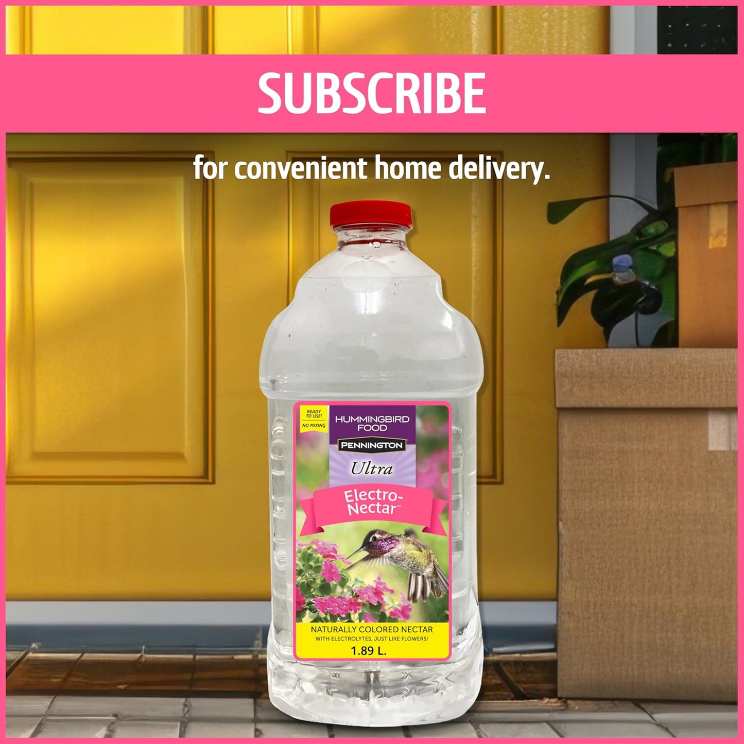 Pennington Hummingbird Nectar - Ready to Use, Naturally Colored with Electrolytes | 64 oz Bottle