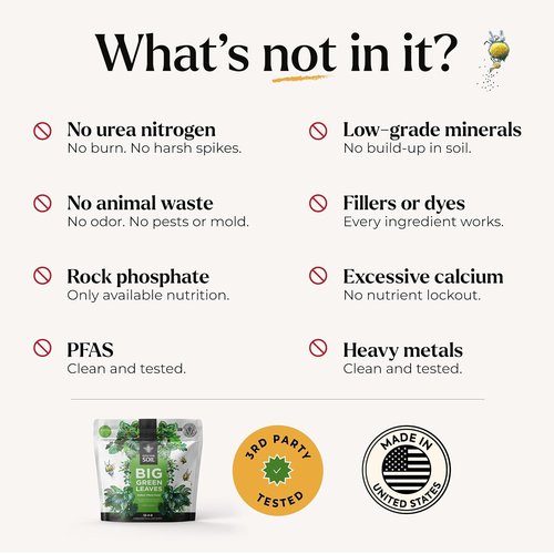 Big Green Leaves Indoor Plant Food - 4X Concentrated Fertilizer with Sea Kelp - Makes 90 Gallons - Fast-Acting Formula (1 lb)
