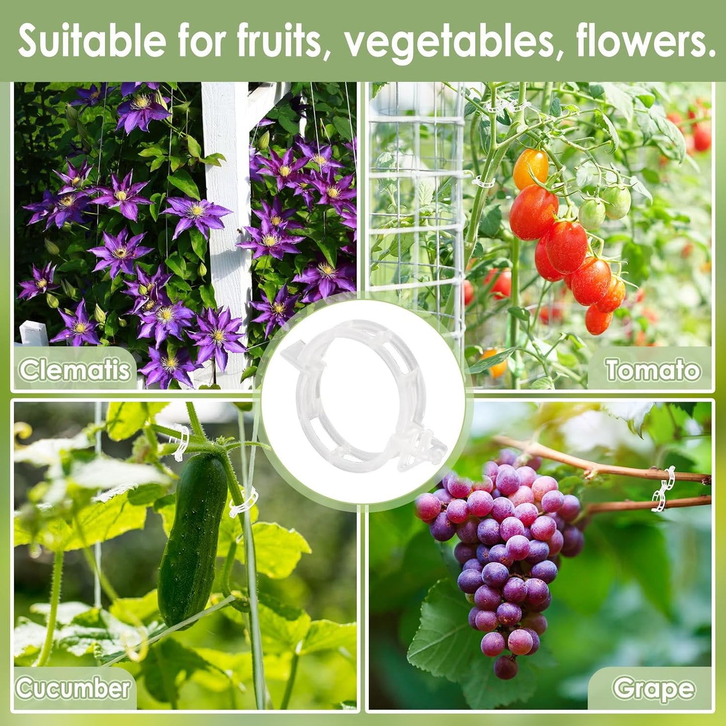 Plant Support Clips | 200 PCS Reusable Tomato Clips for Climbing Plants - Secure Garden Trellis Fixing