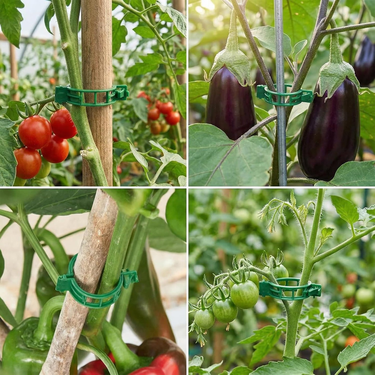 Skiennix 60Pcs Plant Support Clips - Durable Plastic Clips for Securing Tomato Vines & Climbing Plants