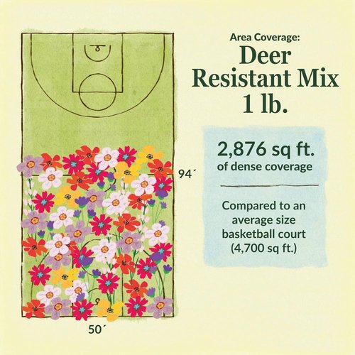 Ferry-Morse Wildflower Seeds Mix - Non-GMO, Deer Resistant Outdoor Flowers - 1 lb Pack