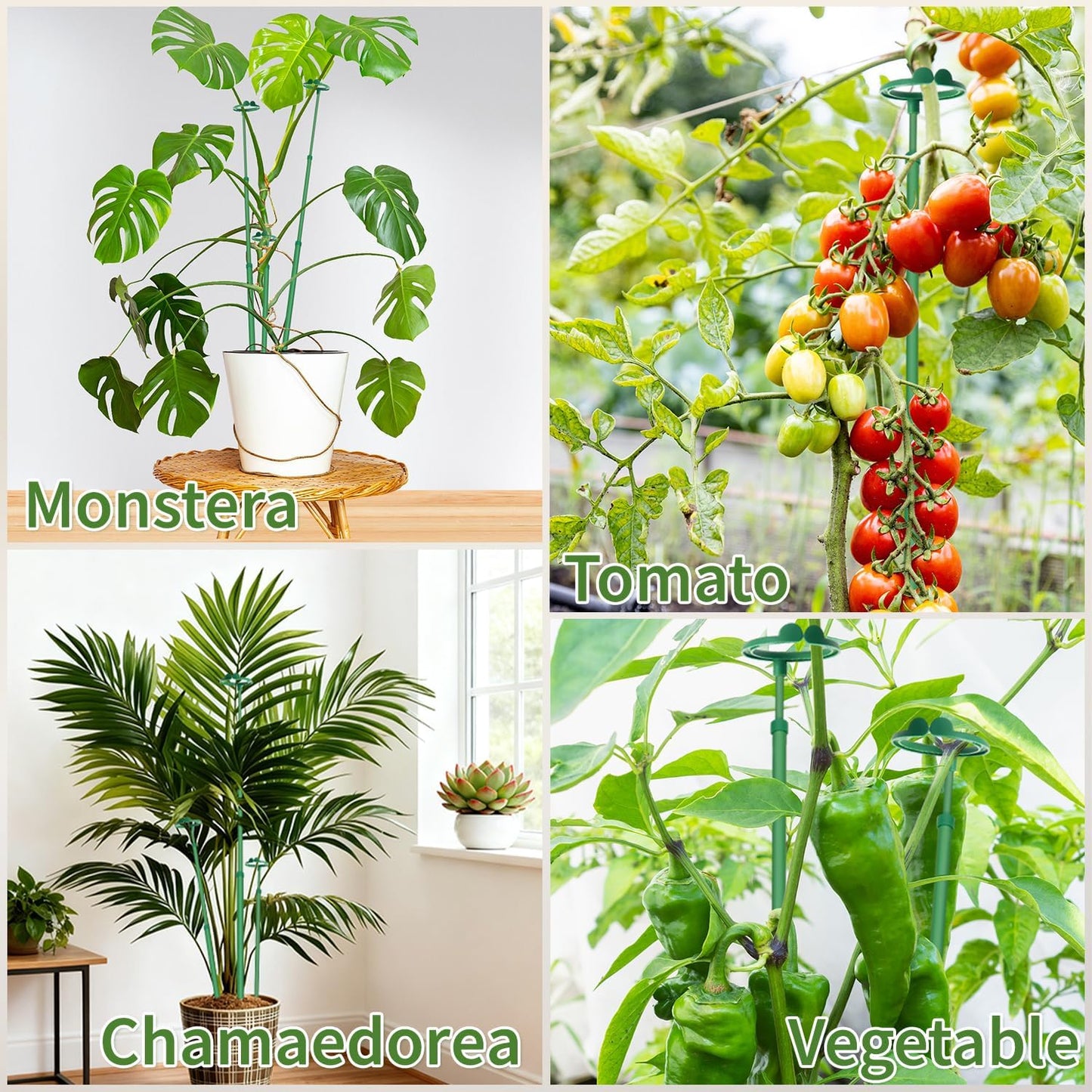 Skiennix Extendable Plant Stakes - Adjustable 17.9" to 42.3" Support for Monstera & Climbing Plants | 3-Pack