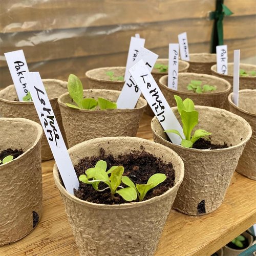 Dalzom® 60Pcs Biodegradable 4” Peat Pots - Perfect for Seedlings with Drainage Holes & Labels