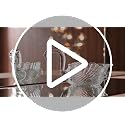 Patelai Crystal Swan Bowl Candy Dish 9.8 x 5 inch Clear Centerpiece