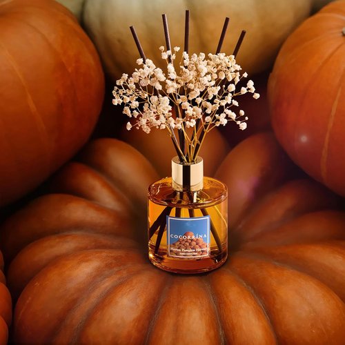 Cocorrína Reed Diffuser - Pumpkin Harvest Scented Set with 8 Sticks & Baby's Breath Decor