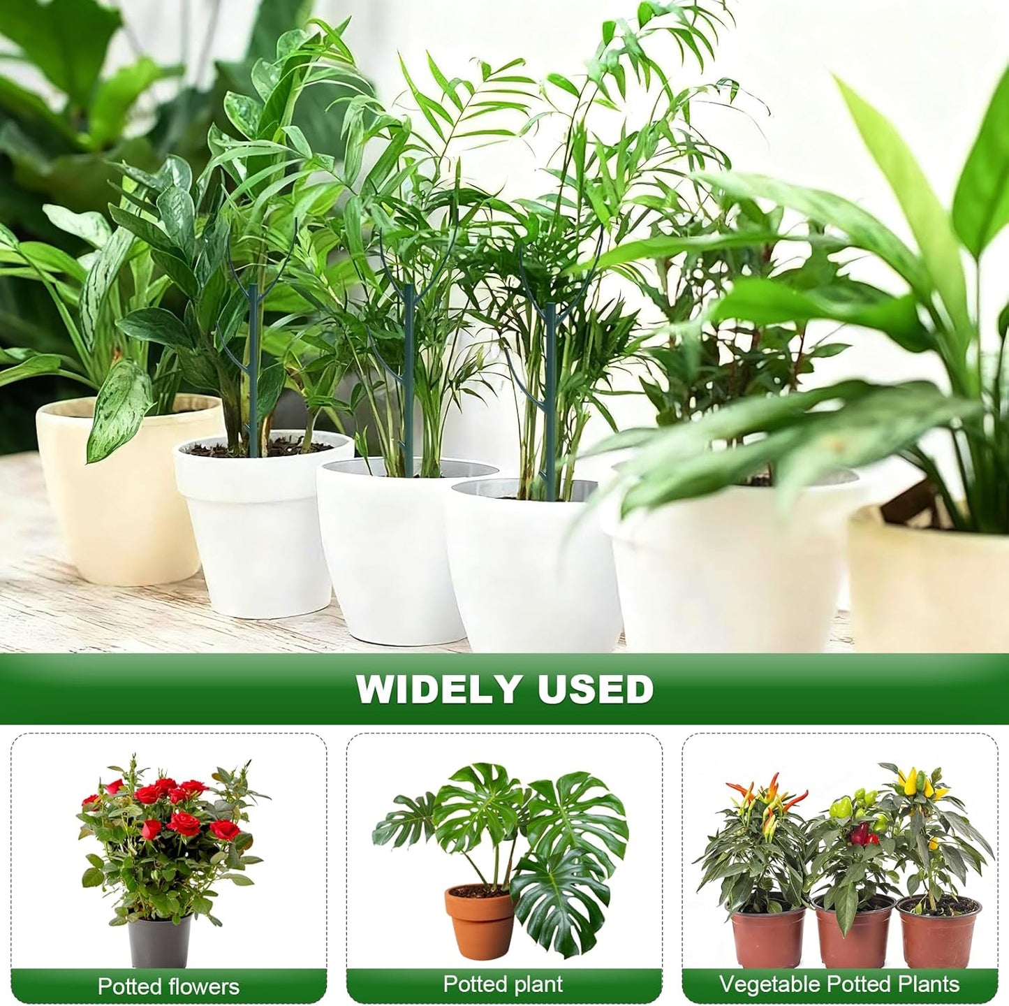 Skiennix Adjustable Plant Support Stakes - 5 Pack for Monstera & Climbing Plants | Indoor/Outdoor Gardening
