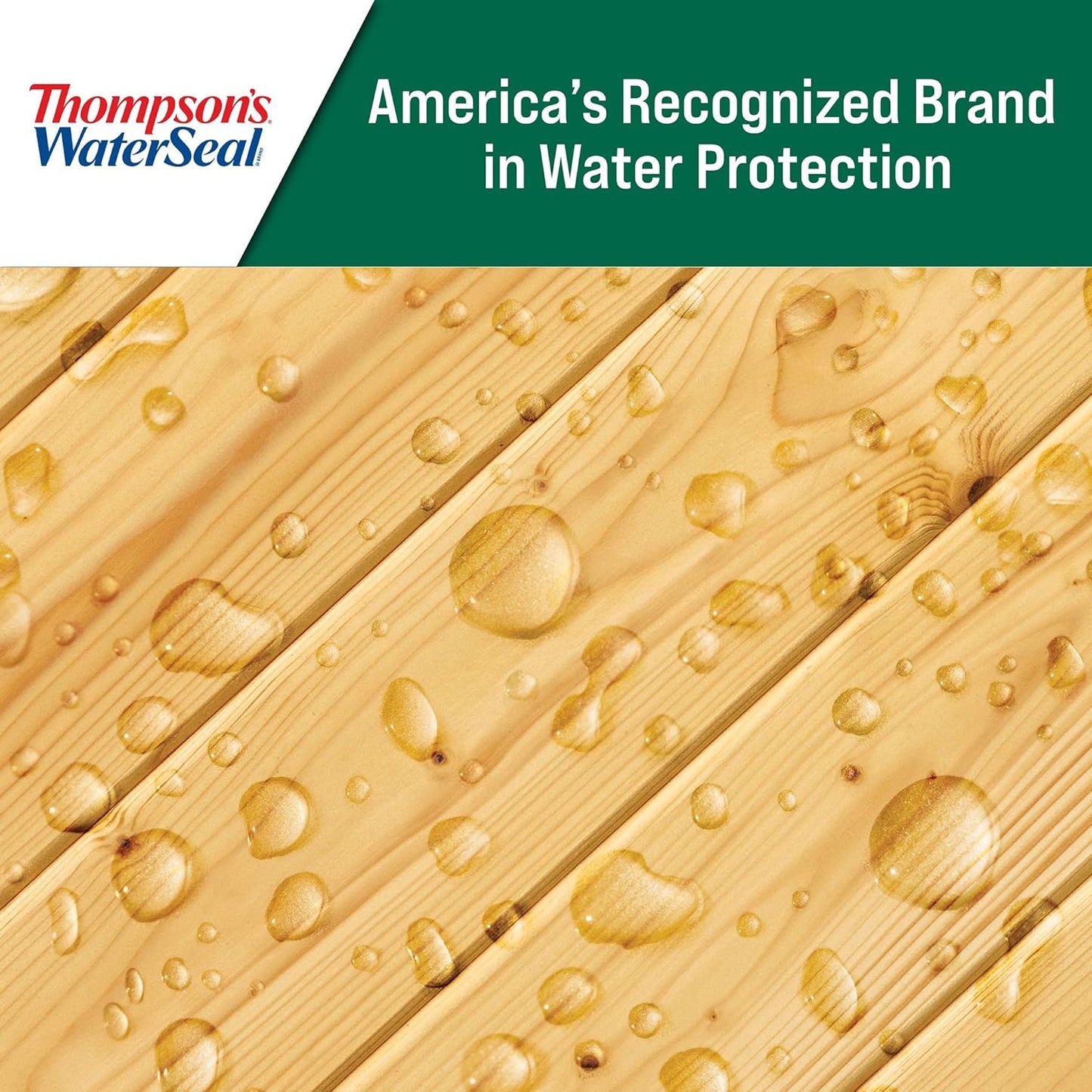 Thompson's WaterSeal Clear Wood Sealer - Premium Protection for Wood Surfaces | 1 Gallon