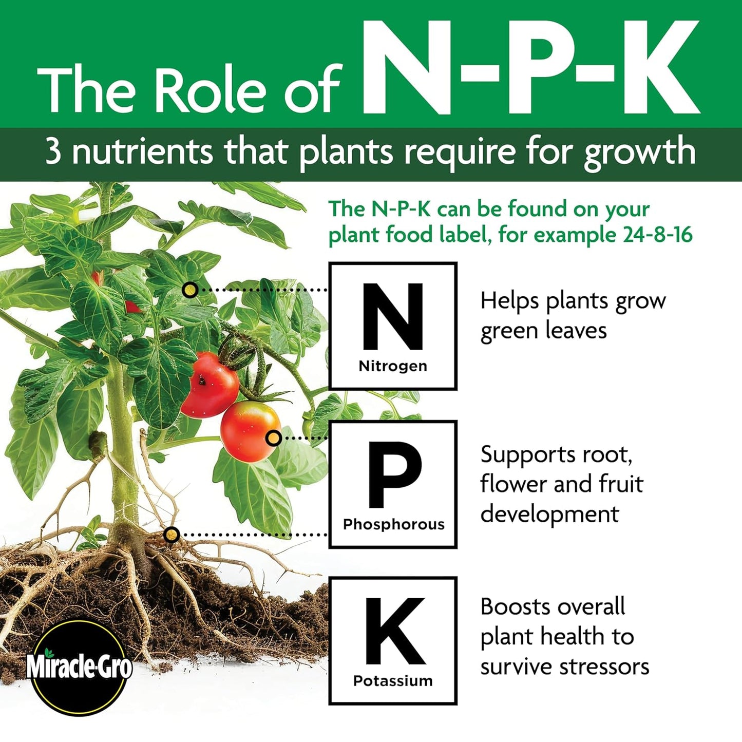 Miracle-Gro Shake 'N Feed All Purpose Plant Food - Ideal for Indoor & Outdoor Plants, 4.5 lbs.