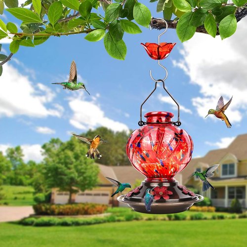 BOLITE Hummingbird Feeder - Hand Blown Glass Design with 5 Bee-Proof Ports | 22oz Capacity, Red Peony