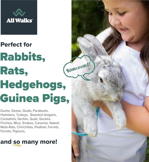 All Walks Premium Natural Hemp Bedding - 40 Liters (4 x 10L Bags) | Odor Control & Low Dust for Small Animals