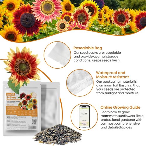 Groundio Sunflower Seeds - 15+ Varieties for Planting | 1 Oz Pack of 300+ Colorful Seeds for Garden