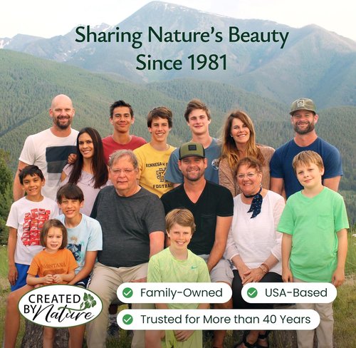 Created By Nature Wildflower Seed Mix - 20 Flower Varieties | 60,000+ Seeds for Vibrant Gardens