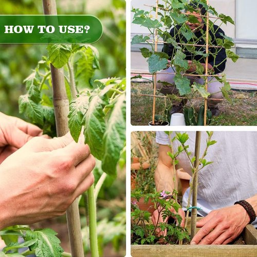 Jollybower Bamboo Plant Stakes - Heavy-Duty 1/2" D, 4 Feet Tall, 50 Pack for Garden Support