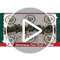 Lonfliness Colorful Christmas Tree Plates Set 50 Pcs Disposable 11 Inch Oval Holiday Dinnerware - Christmas Tree Variation