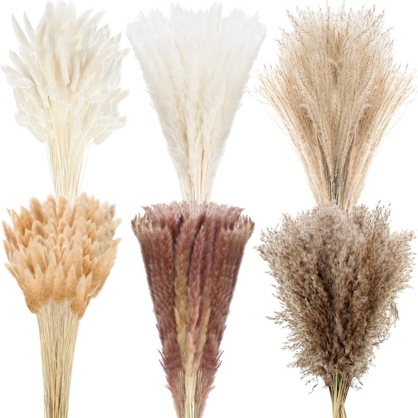 Treela 650 Pcs Dried Pampas Grass Decor Bulk 17" Dried Bunny Tail Fluffy Pompous Pampas Natural Reed Grass Bouquet Wedding Boho Dried Flowers for Home Table Party Decor(Stylish)