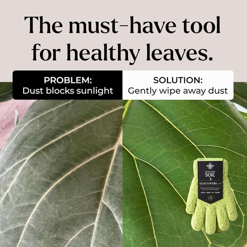 BLESS YOUR SOIL Microfiber Dusting Gloves - Reusable Leaf Cleaning Gloves for Houseplants, 2 Pairs