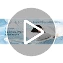 SUPA MODERN Cooling Pillow - White, Standard Size, Adjustable Firmness, CertiPUR-US Shredded Memory Foam - 1 Pack