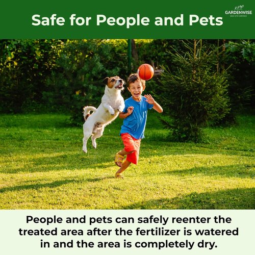10-10-10 Plant Fertilizer - Slow Release All-Purpose Granular for Vegetables & Flowers | 1/2 Quart