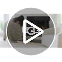 UGG Adalee Faux Fur Throw Blanket - Seal Grey, 50x70 Inches
