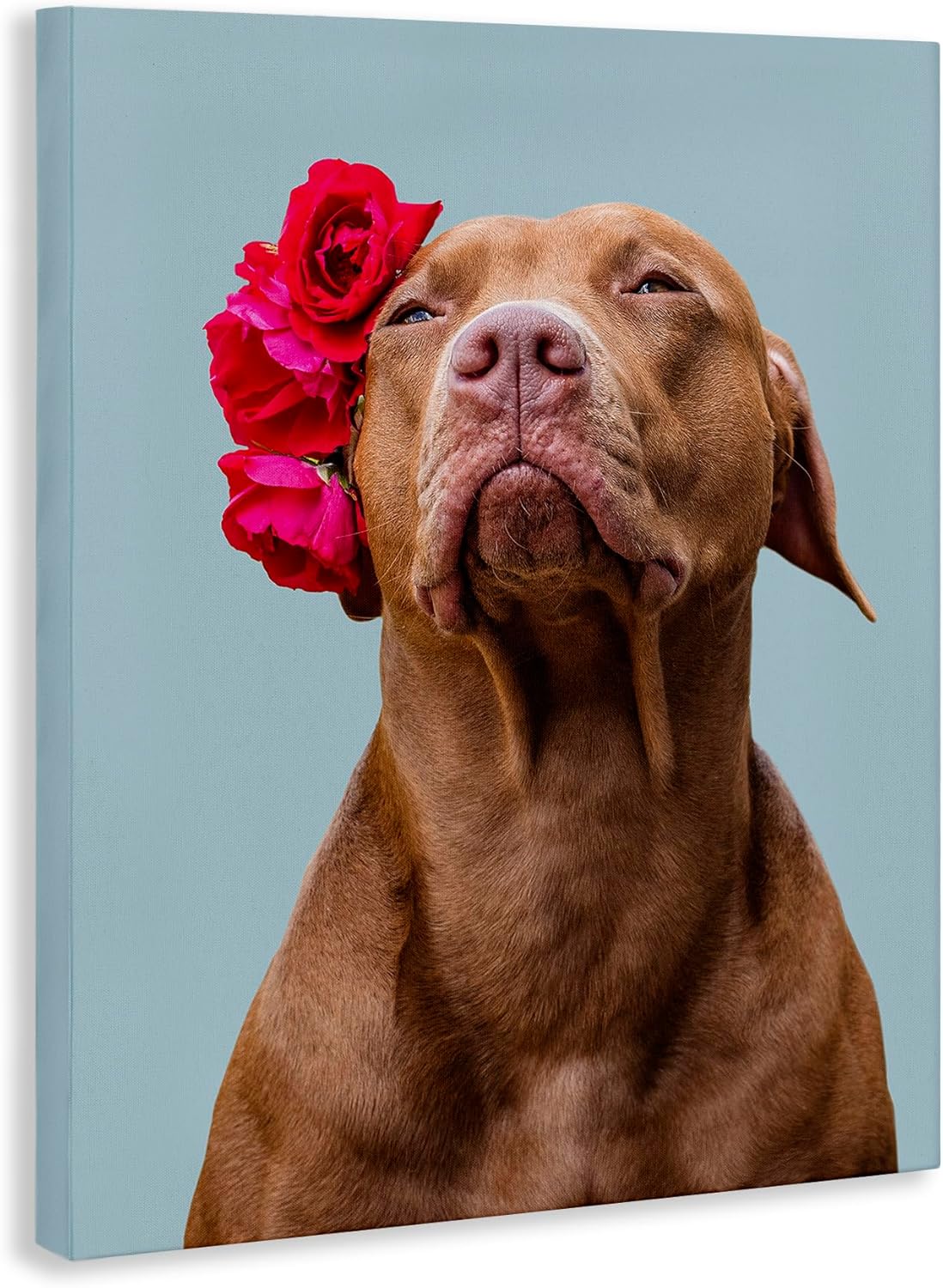 Stupell Industries – Turn Your Photo into Custom Canvas Art – Personalized Wall Decor – Made in USA – Keepsake Gift or Special Occasion – Multiple Sizes