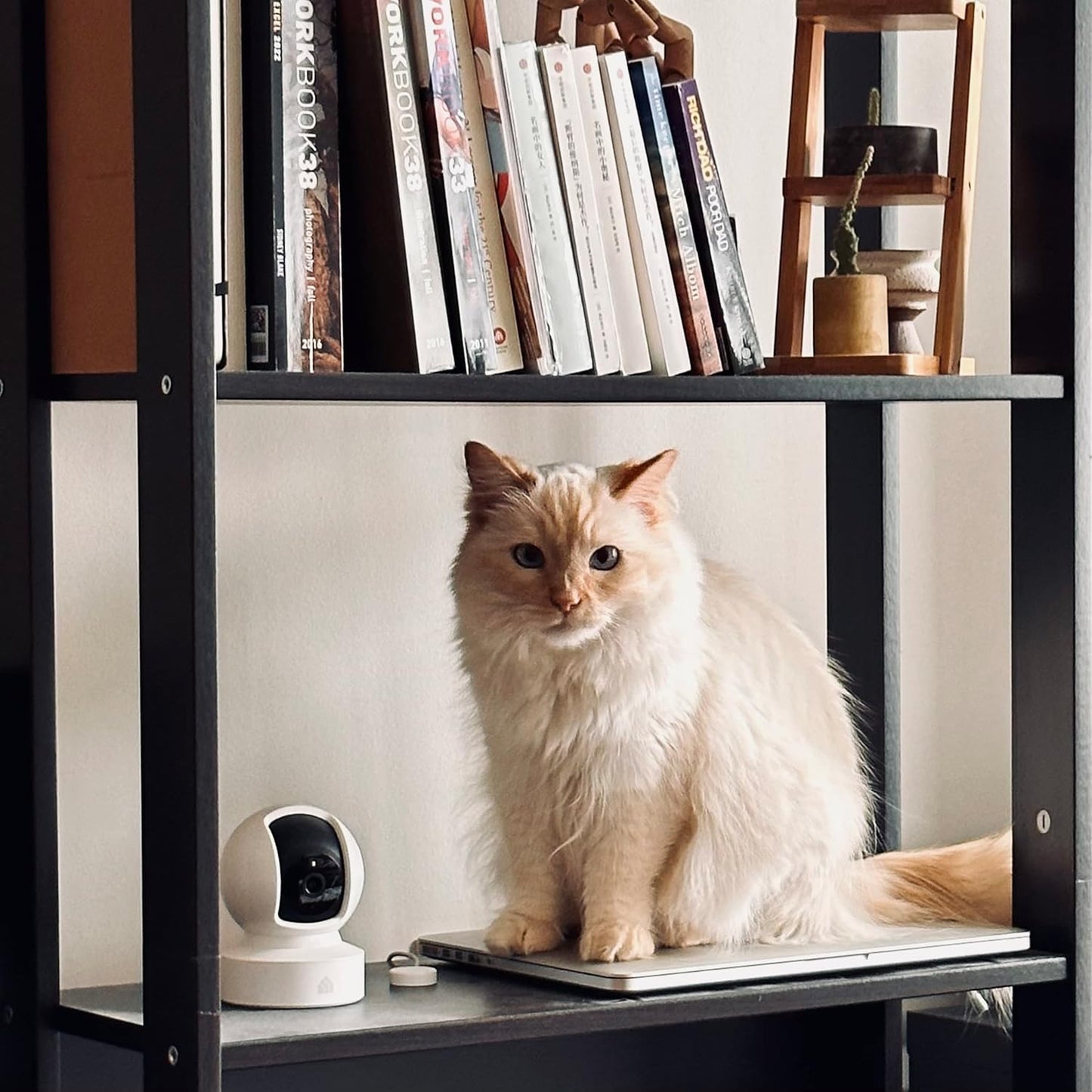 Kasa 1080p Indoor Pan/Tilt Security Camera - Baby & Pet Monitor with Motion Detection, Night Vision & 2-Way Audio