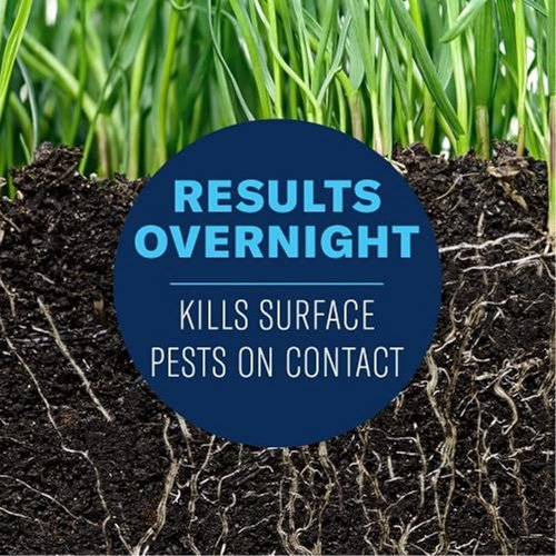 BioAdvanced 24-Hour Grub Killer Plus Granules - Fast-Acting Pest Control for Grubs & Ticks - 10 lb Bag Covers 5,000 Sq Ft