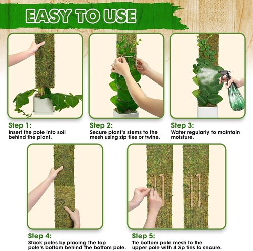 DUSPRO Moss Poles for Climbing Plants - Stackable 22” Handmade Real Moss Sticks | 2 Pack for Indoor Growth