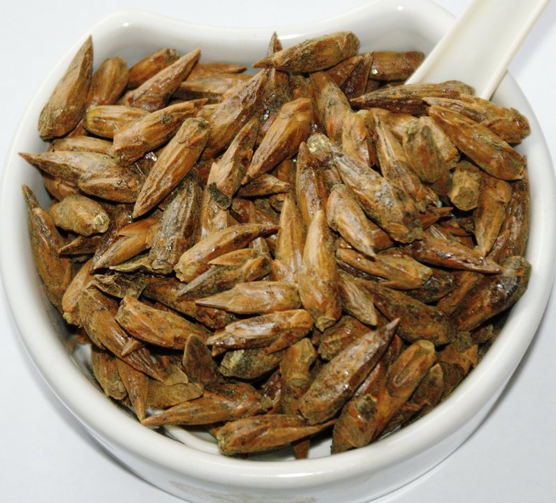 Herba Organica White Poplar Buds - Populus Alba L - Herbal Tea (50g)