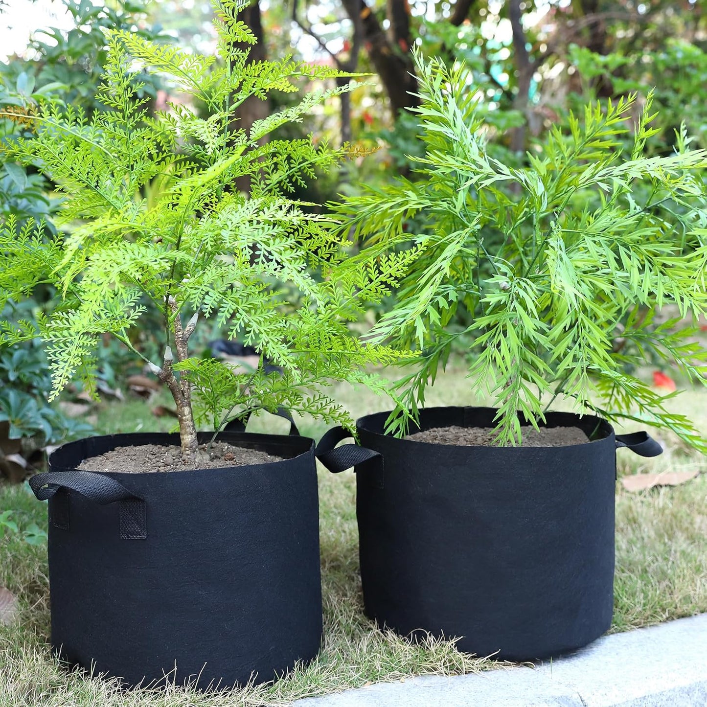 Skiennix 10 Gallon Plant Grow Bags - Heavy Duty Aeration Fabric Pots with Handles | 12-Pack