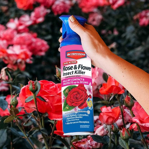 BioAdvanced Dual Action Insect Killer - Continuous Spray for Roses & Flowers | 15.7 oz
