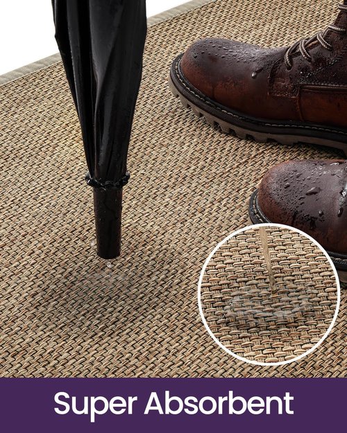 DEXI Ultra Thin Indoor Door Mat - Non-Slip Rubber Backing, Easy Clean Dirt Trapper | 24x36, Beige