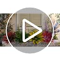 Velener 28 Inch Green Artificial Agave Plants Set of 2 Outdoor Faux Succulents